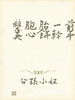 双胞胎一前一后夹心饼干年下