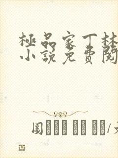 极品家丁林晚荣小说免费阅读无弹窗