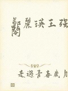 郑丽瑛王强笔趣阁