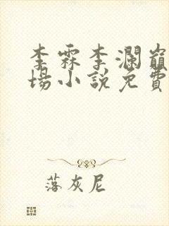 李霖李澜巅峰官场小说免费阅读