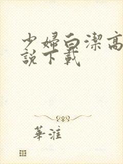 少妇白洁高义小说下载