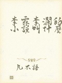 李霖李澜的官场小说叫什么名字啊封面