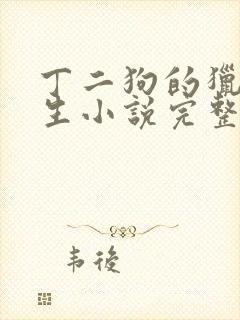 丁二狗的猎艳人生小说完整版