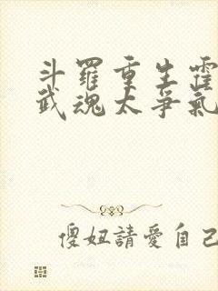 斗罗重生霍雨浩武魂太争气了笔趣阁封面