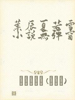 叶辰夏若雪孙怡小说无弹窗