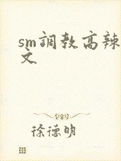 sm调教高辣h文封面