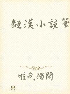 糙汉小说笔趣阁