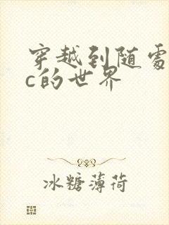 穿越到随处可以c的世界封面