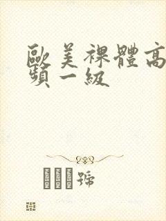 欧美裸体高清视频一级