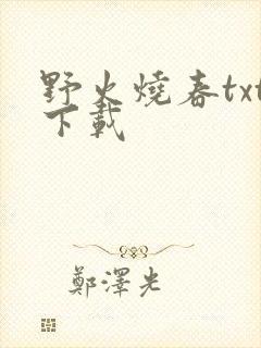 野火烧春txt下载