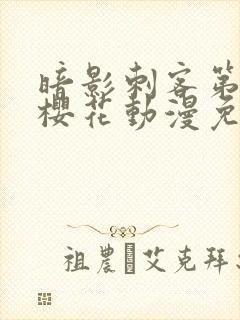 暗影刺客第四季樱花动漫免费观看