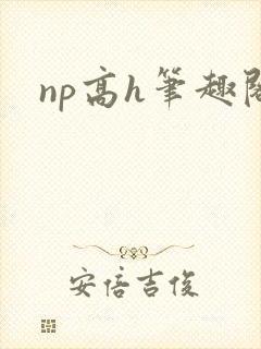 np高h笔趣阁