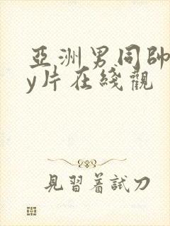 亚洲男同帅gay片在线观