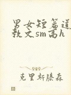 男女短篇道具调教文sm高h封面