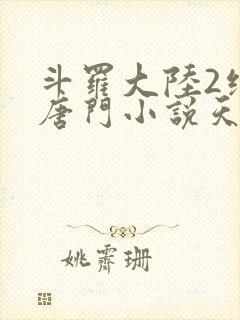 斗罗大陆2绝世唐门小说天域小说