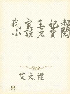 我家王妃超凶的小说免费阅读