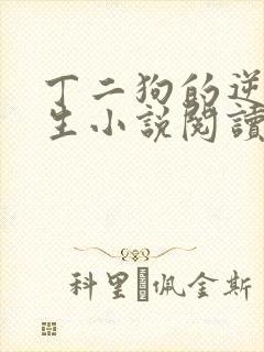 丁二狗的逆袭人生小说阅读