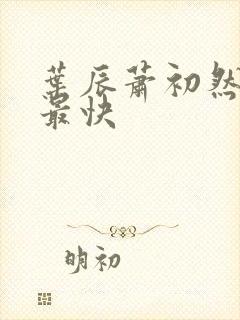 叶辰萧初然更新最快封面