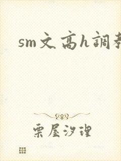 sm文高h调教