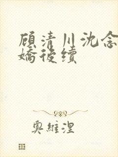 顾清川沈念李娇娇后续封面