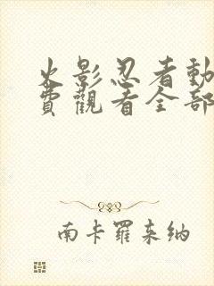 火影忍者动漫免费观看全部封面