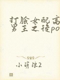 打脸女配高攀上男主之后po笔趣阁封面