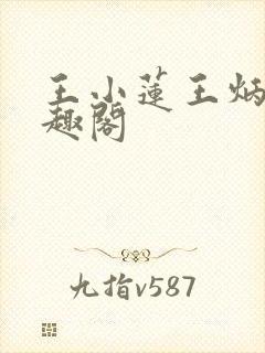 王小莲王炳山笔趣阁封面