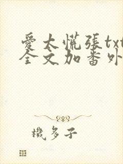 爱太慌张txt全文加番外