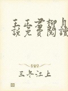 王正君柳月瑶小说免费阅读最新章节