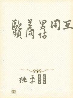 欧美男同互操视频网站封面