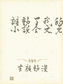 谁动了我的老婆小说全文免费阅读一