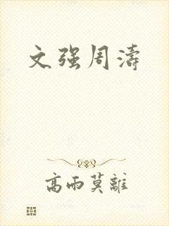 文强周涛