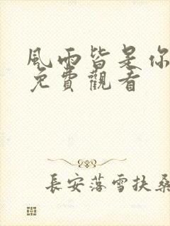 风雨皆是你短剧免费观看