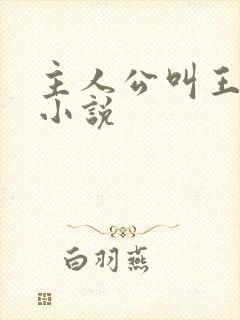 主人公叫王宇的小说