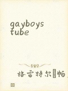 gayboystube封面