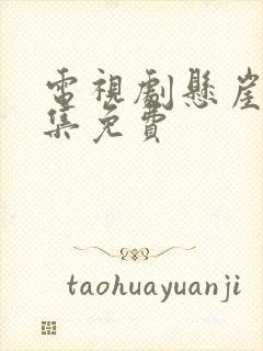 电视剧悬崖40集免费封面