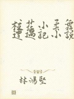 校花小柔舞蹈室遭遇记小说封面