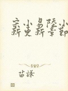 宋小易陆小婷最新更新章节笔趣阁