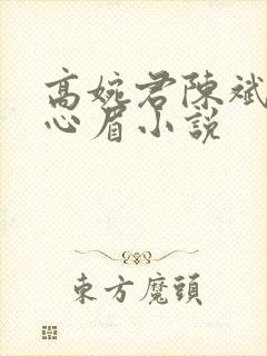 高婉君陈斌和赵心眉小说封面