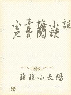 小青梅小说全文免费阅读