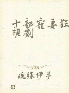 十部宠妻狂魔电视剧封面