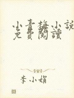 小青梅小说全文免费阅读