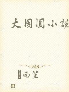 大团圆小说