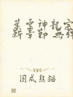 叶云神龙宗 最新章节 无弹窗