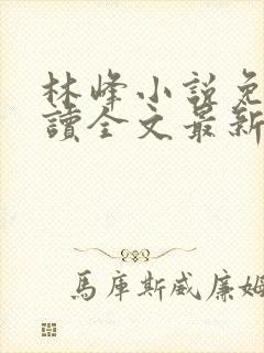 林峰小说免费阅读全文最新章节