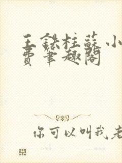 王铁柱苏小汐免费笔趣阁