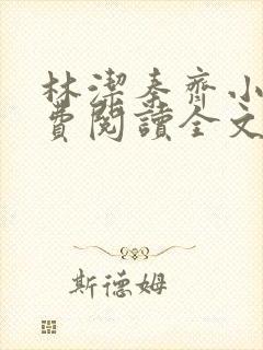 林洁秦齐小说免费阅读全文最新章节