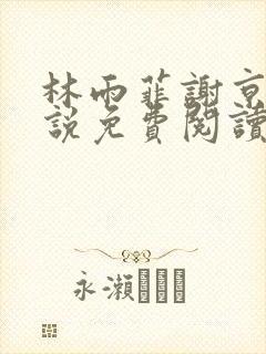 林雨菲谢京墨小说免费阅读笔趣阁