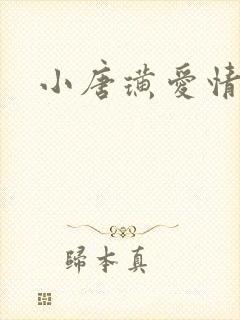 小唐璜爱情历史