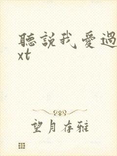 听说我爱过你txt